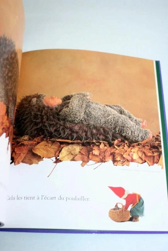 Boek "De tuin van de feeën" van Anne Geddes – photo 3